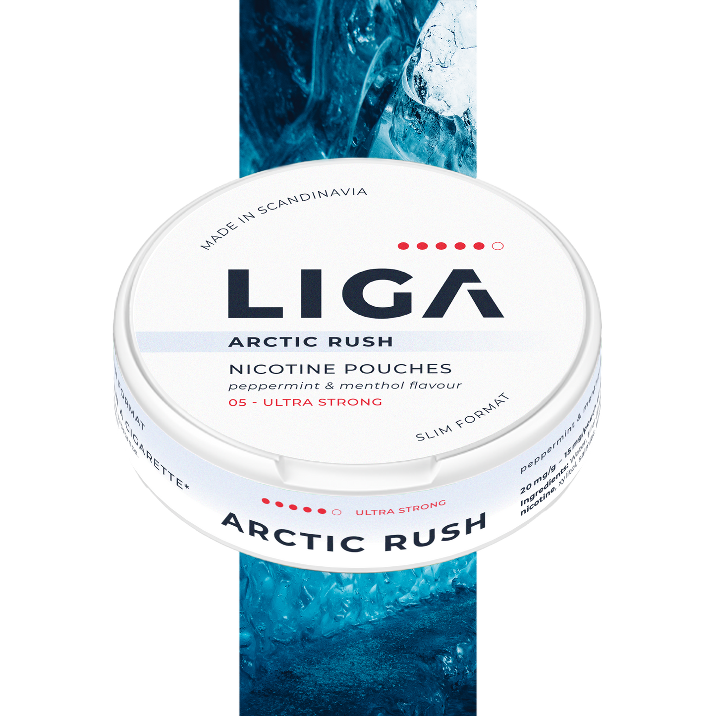 LIGA ARCTIC RUSH